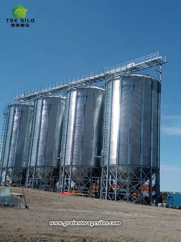 Canada Silo Project For Corn Storage
