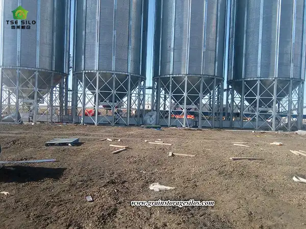Canada Silo System With Drag Conveyor