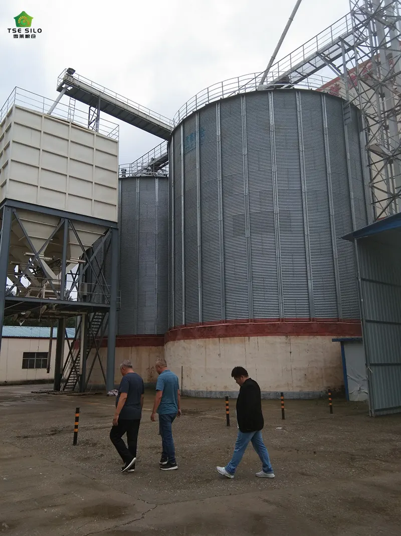 Flat Bottom Steel Silo