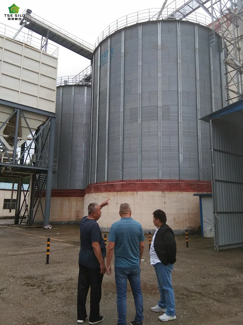 Large Flat Bottom Steel Silo