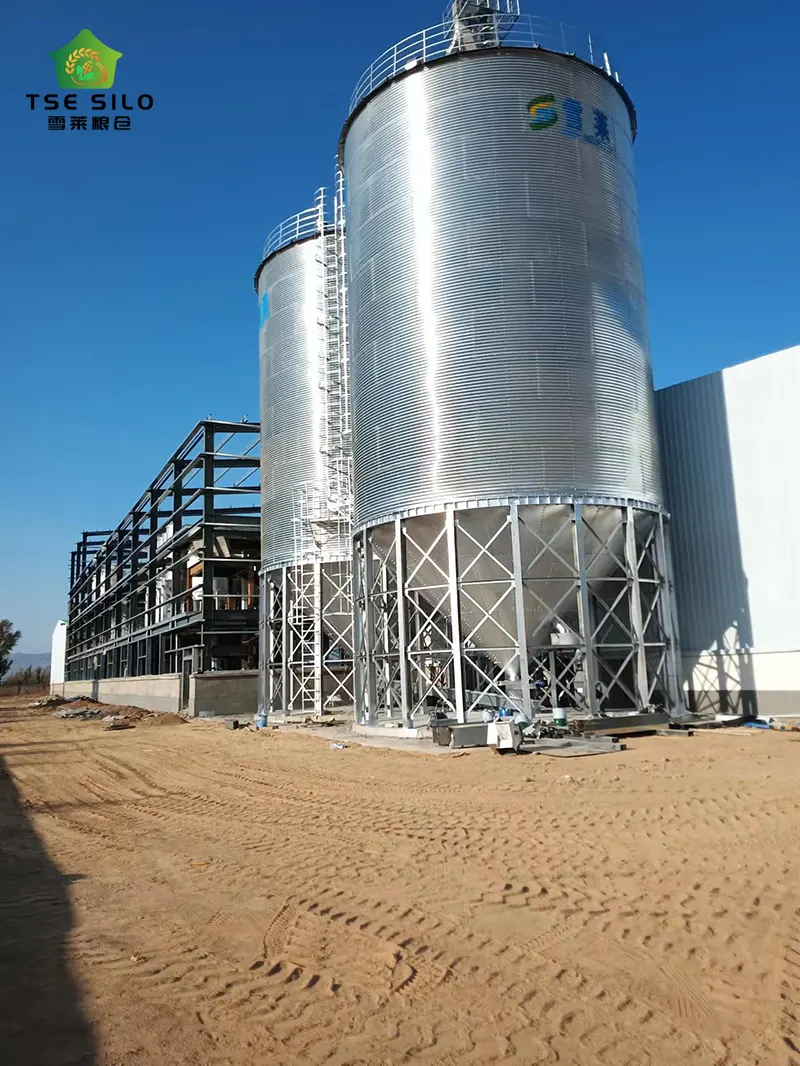 Cone Bottom Steel Silo