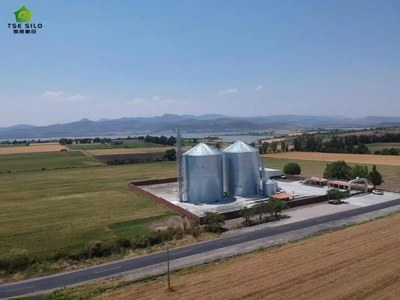 3000 Tons Of Grain Steel Silo