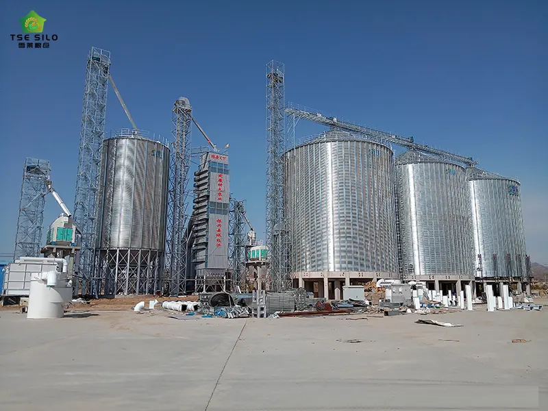 5000 Tons Flat Bottom Steel Silo