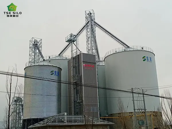3000 Tons Flat Bottom Steel Silo