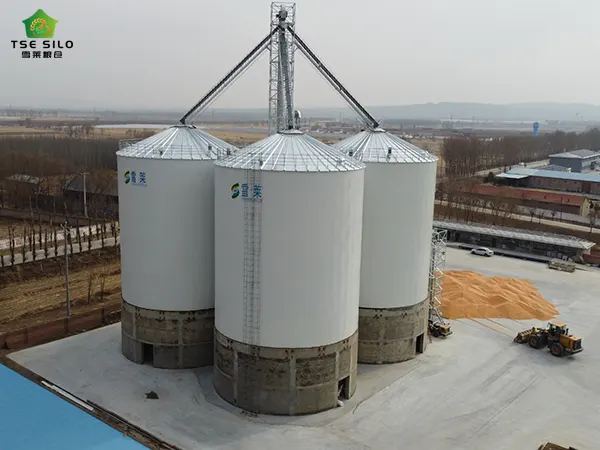 3000 Tons Of Grain Steel Silo