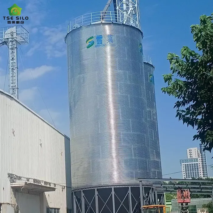 Cone Bottom Steel Silo