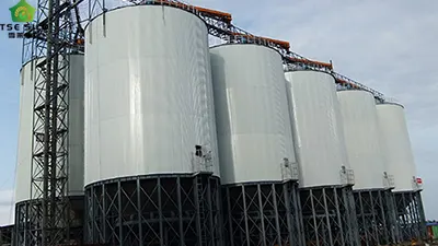 Introduction to the maintenance details of grain steel silo during operation