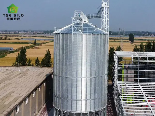 Grain Steel Silo Grain Steel Silo