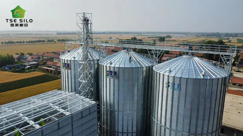 Flat Bottom Silo Flat Bottom Silo