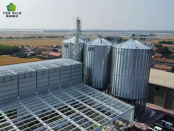 Grain Storage Silos Grain Storage Silos