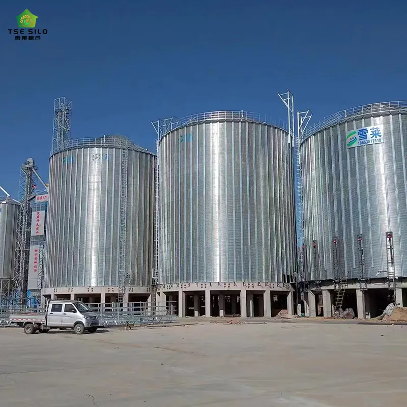 5000t Flat Bottom Silos
