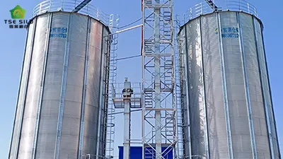 Comprehensive comparative analysis of grain steel silos and traditional granaries