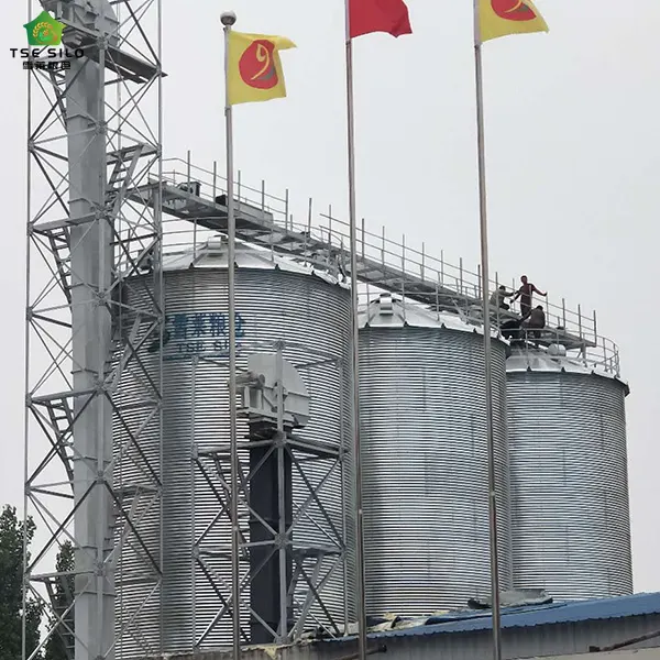 Grain Steel Silo Is Being Installed