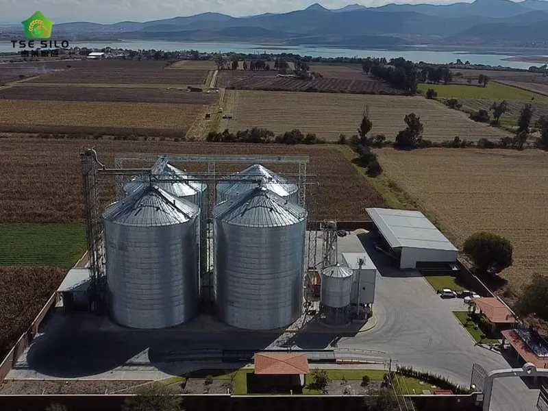 20000 Tons Flat Bottom Steel Silo