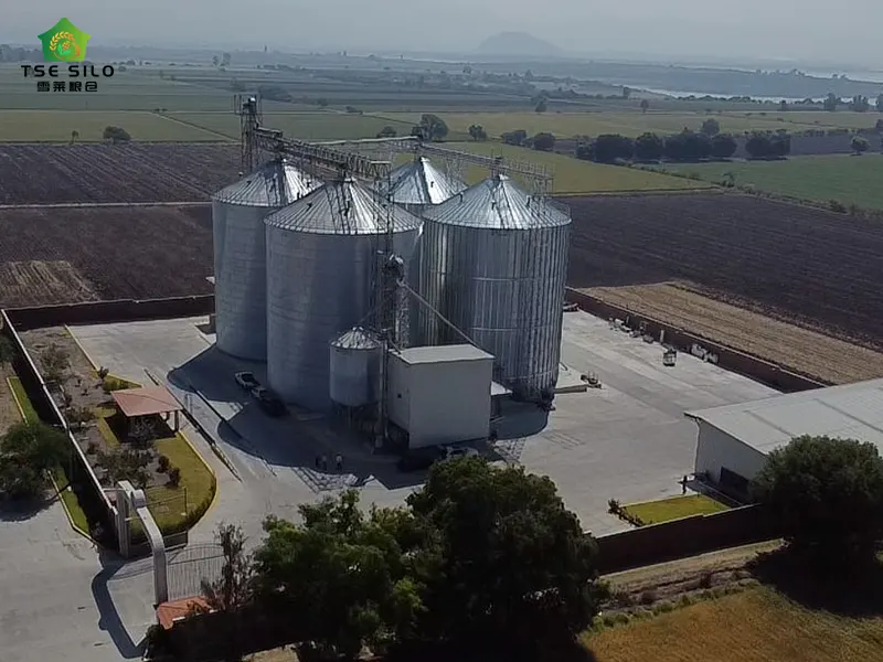 Mexico Flat Bottom Steel Silo