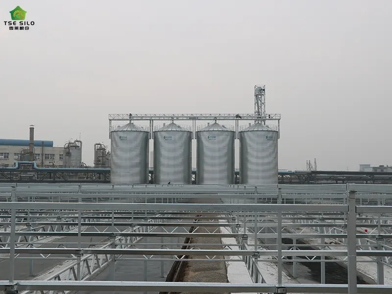 4-1200 Tons Cone Bottom Steel Silo