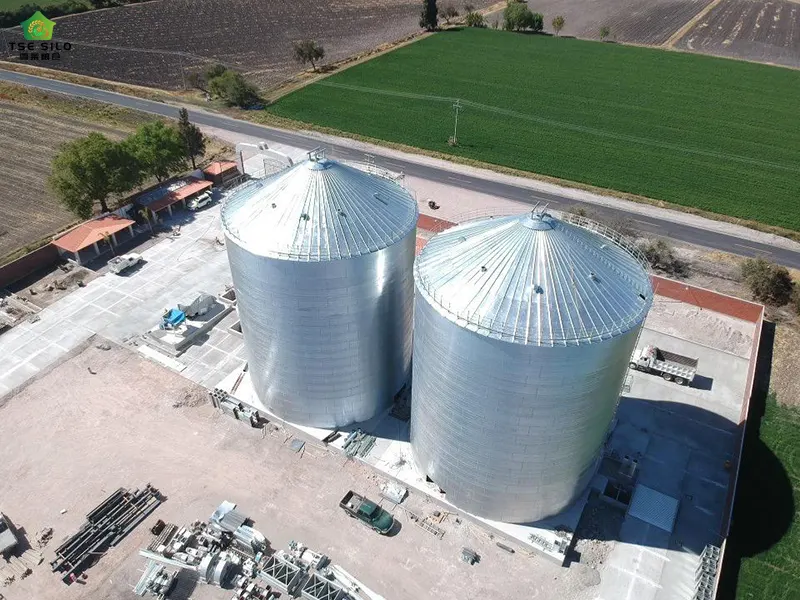 Mexico 25,000 Ton Flat Bottom Steel Silo Construction Site