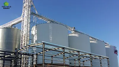 Technical analysis and advantages and disadvantages of grain steel silos drying system