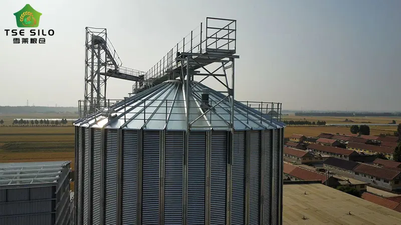 Grain Steel Silo Transmission System