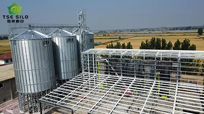 Related strategies and optimization measures to improve the efficiency of grain steel silo in and out