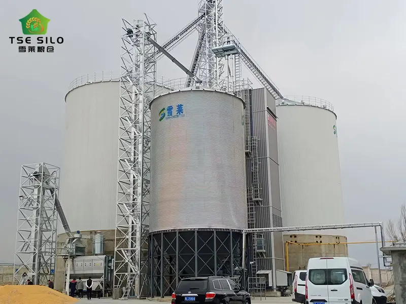 3-4000 Tons Flat Bottom Grain Steel Silo