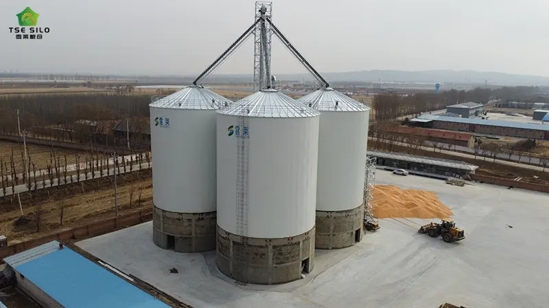 3-4000 Tons Grain Steel Silo