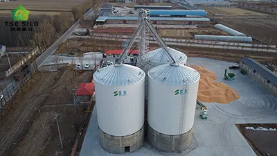 Technical Guide for Selecting Raw Materials for Building Grain Steel Silo
