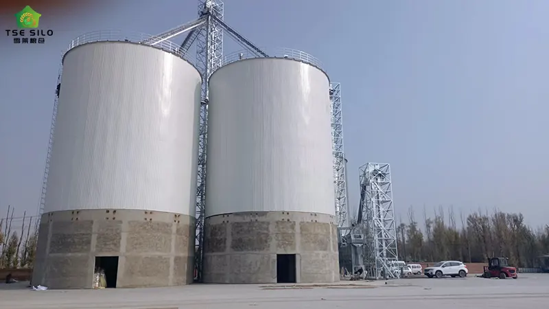 2-4500 Tons Insulated Flat Bottom Steel Silo