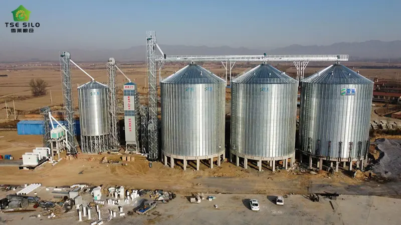 Large Flat Bottom Steel Silo Project Site