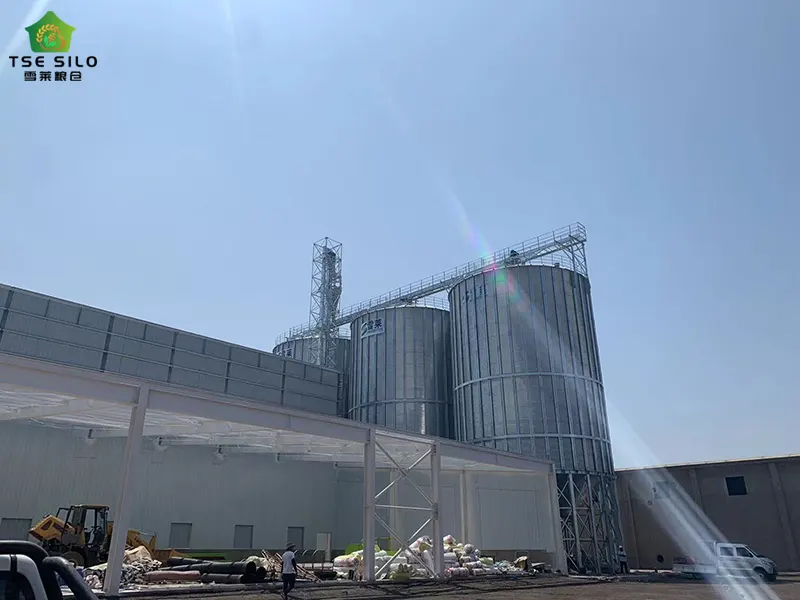 Large Cone Bottom Steel Silo