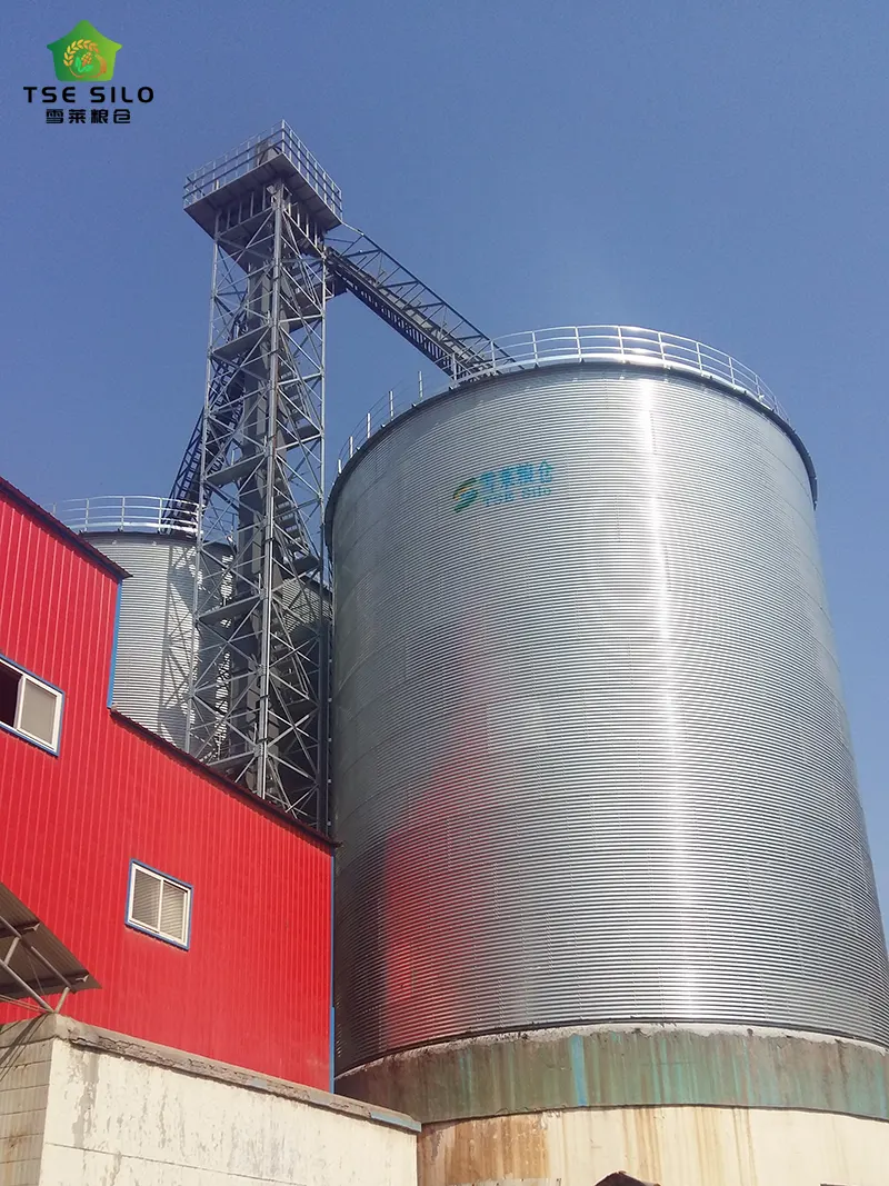 2-3000 Tons Flat Bottom Steel Silo