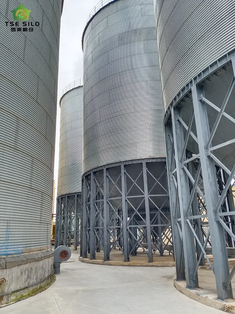 Large Grain Steel Warehouse Complex