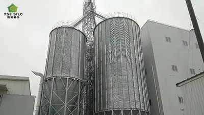Standard Guide for Foundation Treatment of Grain Steel Silo Construction