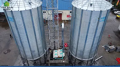 A Brief Analysis of Pre-Storage Inspections for Autumn Grain in large grain steel silo