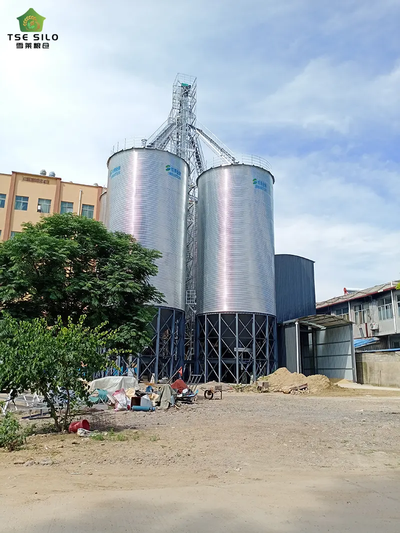 1200 Tons Cone Bottom Steel Silo