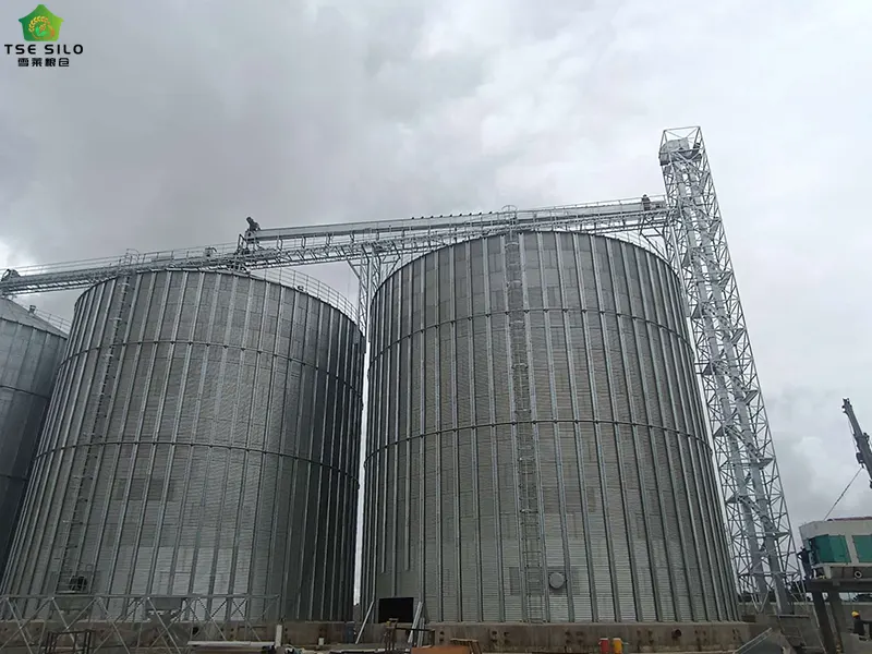 Large Flat-Bottom Steel Silo