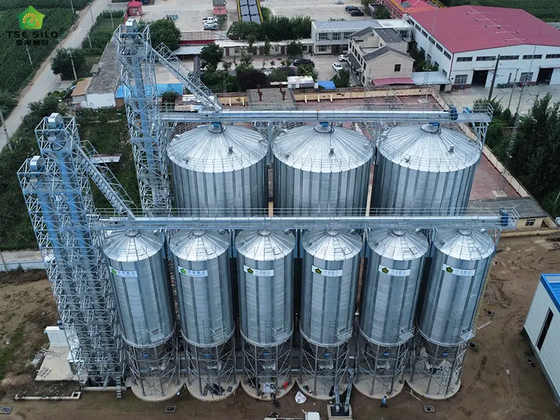 Large Grain Steel Silo Cluster