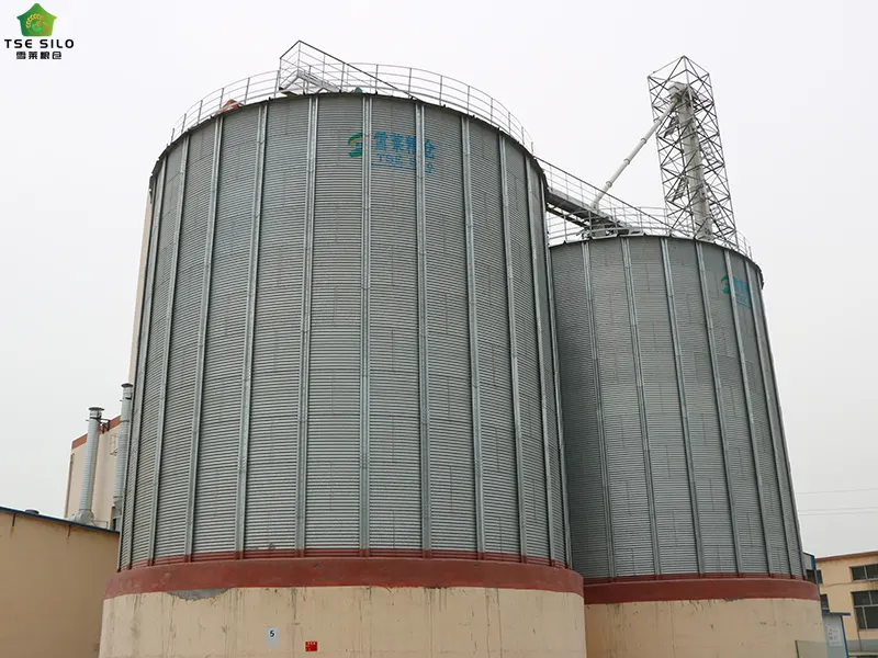 Large Steel Silo
