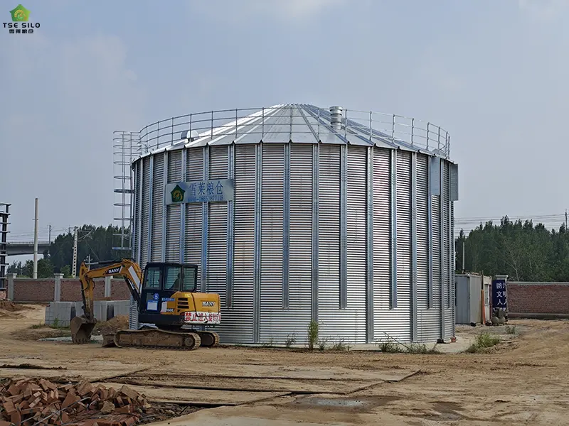 Cone Bottom Steel Silo Under Construction
