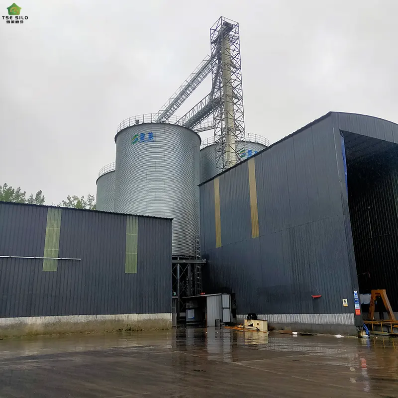 Large Cone-Bottom Steel Silo In Operation
