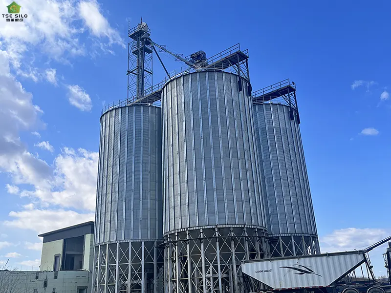 Large Cone Bottom Steel Silo