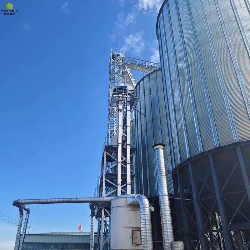 Large Grain Steel Silo In Operation