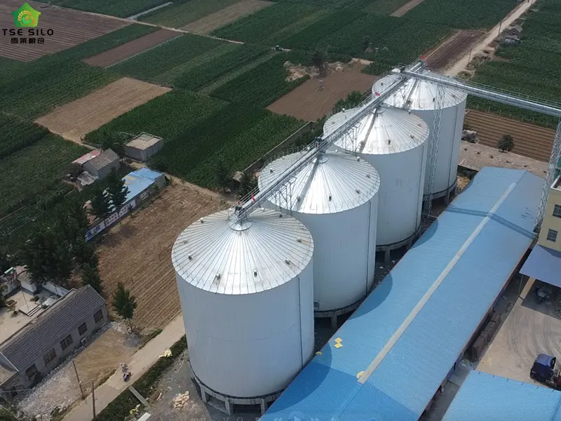 4-3000 Tons Flour Steel Silo