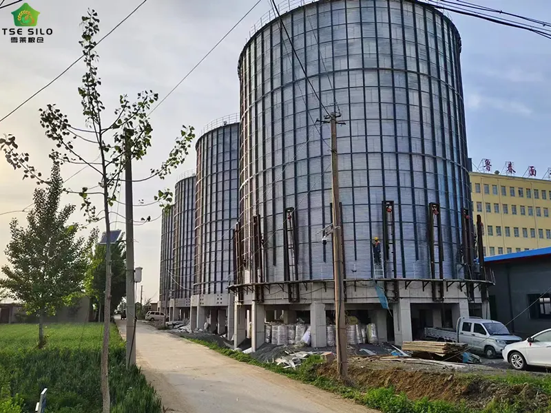 Large Grain Steel Silo Under Construction