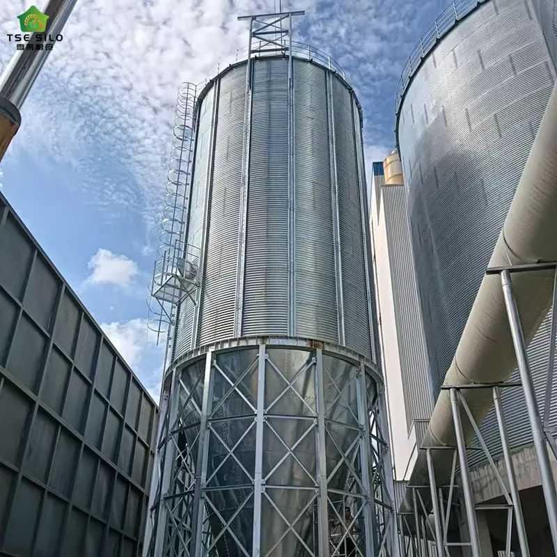 Feed Steel Silo Under Construction