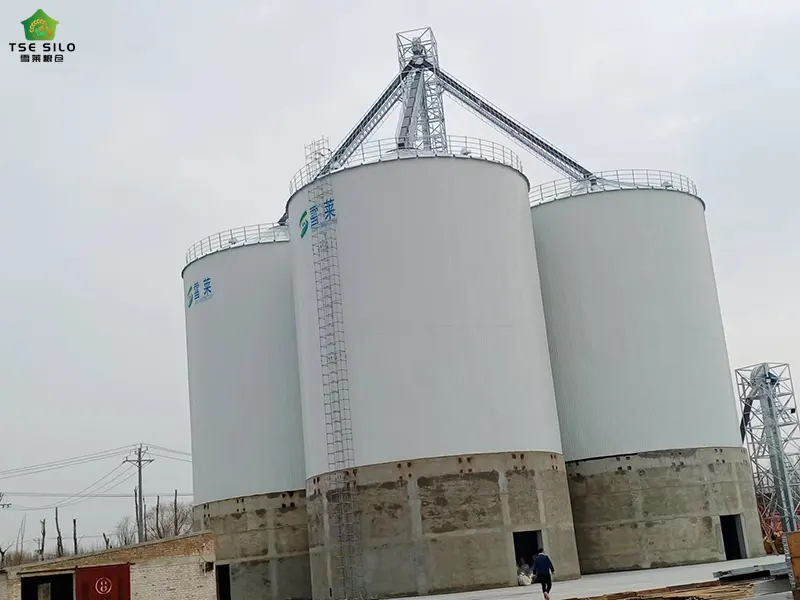 3-3000 Ton Steel Grain Silos