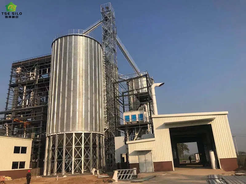 Routine Maintenance Of Steel Grain Silos In Winter