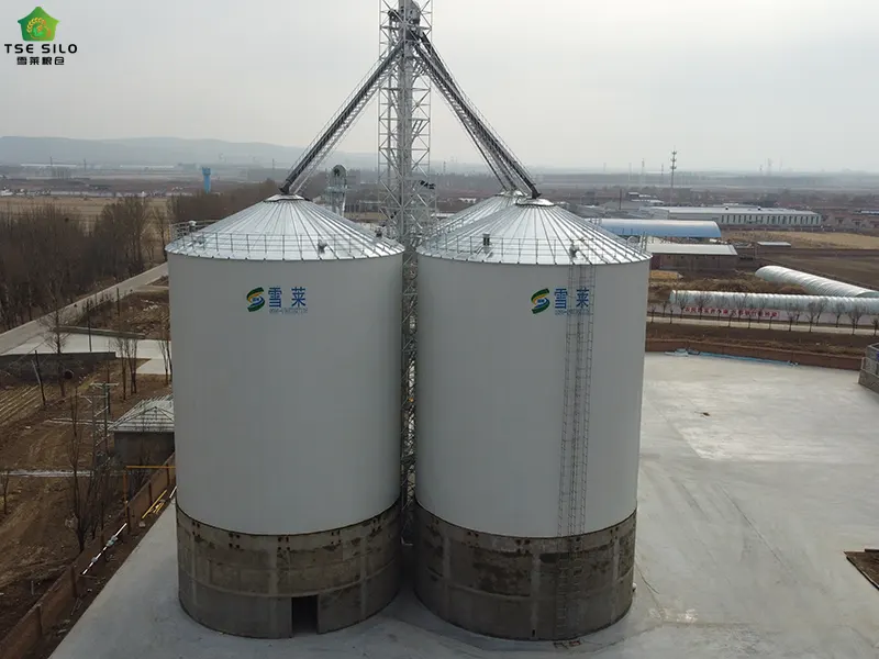 Winter Operation Of Steel Grain Silos