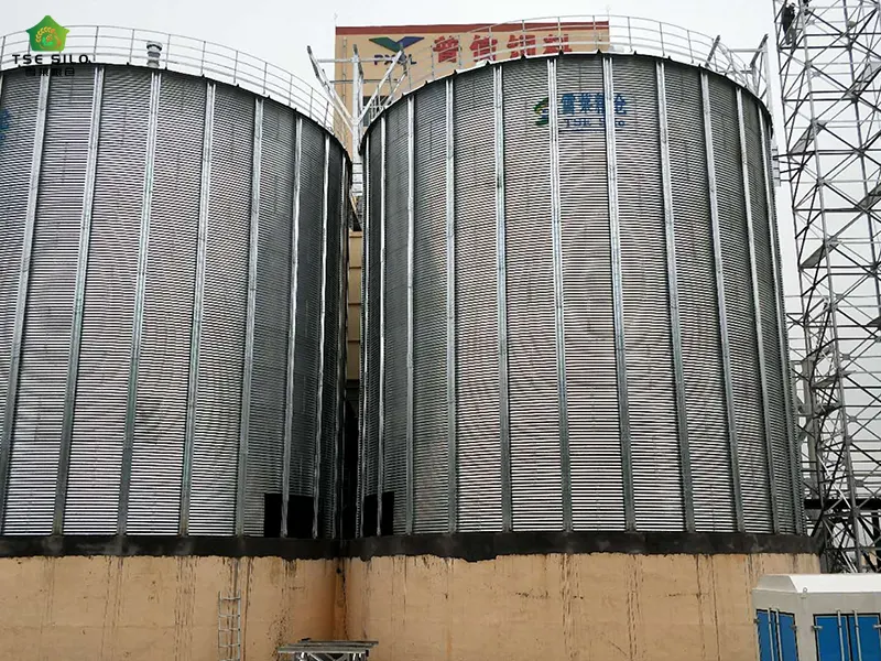 Large Flat-Bottomed Steel Silos