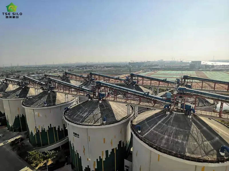 Large Grain Steel Silo Complex